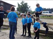 voltitag 2009 _CD2 051